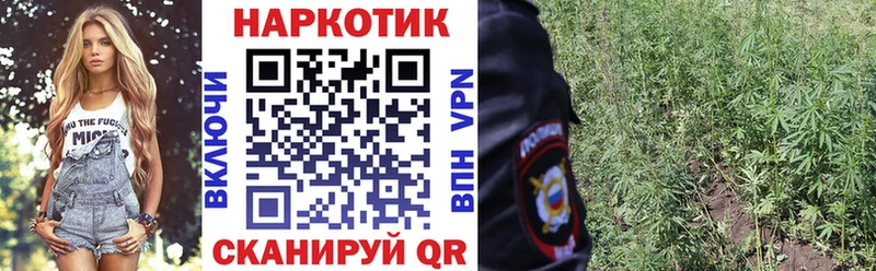 Продажа наркотиков Чудово Гашиш  OMG рабочий сайт  Псилоцибиновые грибы  Кокаин  Мефедрон  А ПВП 