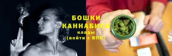 гидропоника Рославль